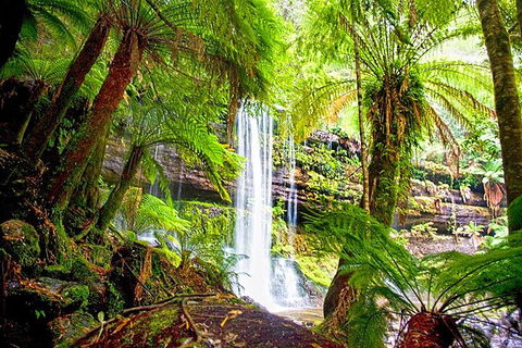 Mt Field National Park And Russell Falls From Hobart - Tweed Heads Accommodation 4