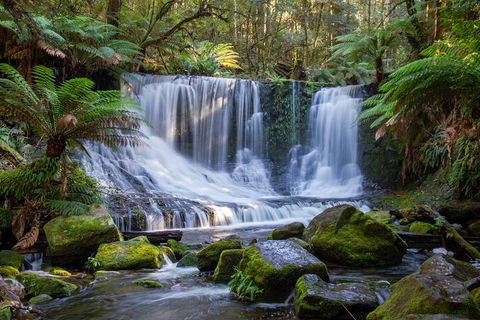 Mt Field National Park And Russell Falls From Hobart - Tweed Heads Accommodation 5