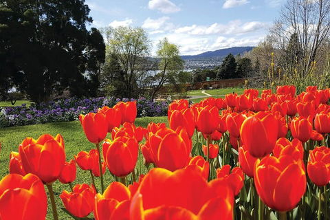 Hobart Half-Day Sightseeing Coach Tram Tour - Tweed Heads Accommodation 4