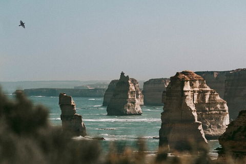 Half-Day Or Full-Day Tour With Private Guide From Melbourne - Tweed Heads Accommodation 0