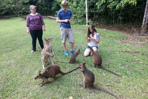 Small Group Blue Mountains Day Tour From Sydney - Tweed Heads Accommodation 2