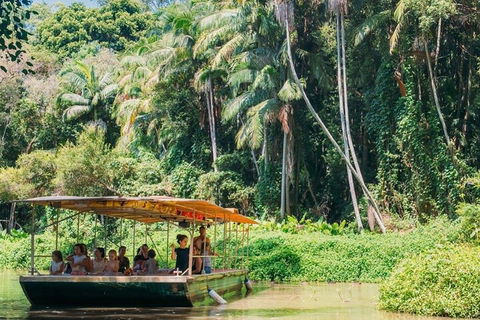 Tropical Fruit World Farm Full Tour - Tweed Heads Accommodation 0