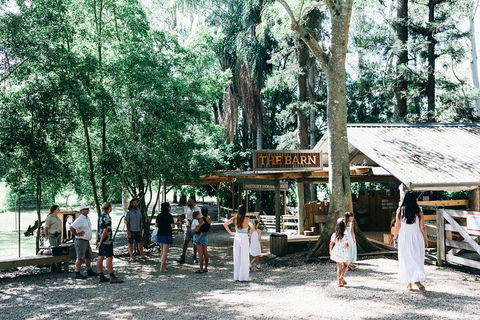 Tropical Fruit World Farm Full Tour - Tweed Heads Accommodation 3