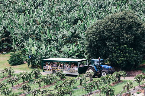 Tropical Fruit World Farm Full Tour - Tweed Heads Accommodation 5