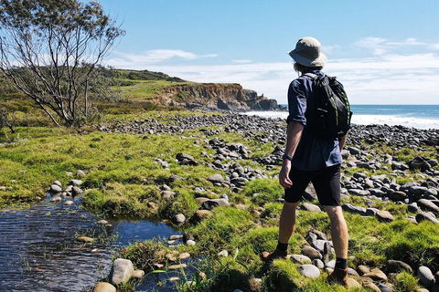 Half Day Guided Small Group Walk - Tweed Heads Accommodation 0
