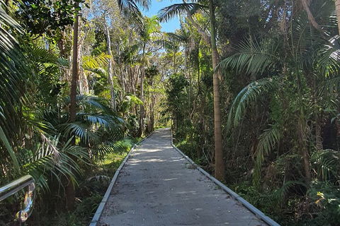 Half Day Guided Small Group Walk - Tweed Heads Accommodation 3