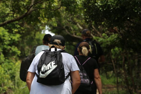 Half Day Guided Small Group Walk - Tweed Heads Accommodation 4