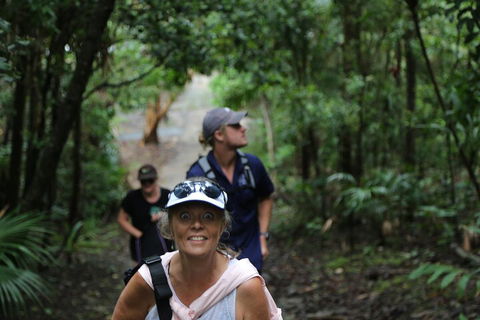 Half Day Guided Small Group Walk - Tweed Heads Accommodation 5