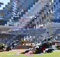 Personalised Half Day With A Local In Melbourne - Tweed Heads Accommodation