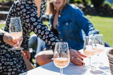 Full-day Wine-Tasting And Tamborine Mountain Tour With Lunch - Tweed Heads Accommodation 1