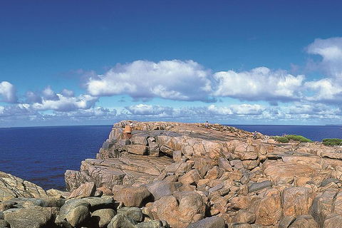 4 Day Tour: Albany, Margaret River, Valley Of The Giants TreeTop Walk From Perth - Tweed Heads Accommodation 0