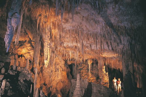 4 Day Tour: Albany, Margaret River, Valley Of The Giants TreeTop Walk From Perth - Tweed Heads Accommodation 1