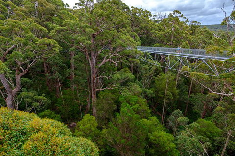 4 Day Tour: Albany, Margaret River, Valley Of The Giants TreeTop Walk From Perth - Tweed Heads Accommodation 4