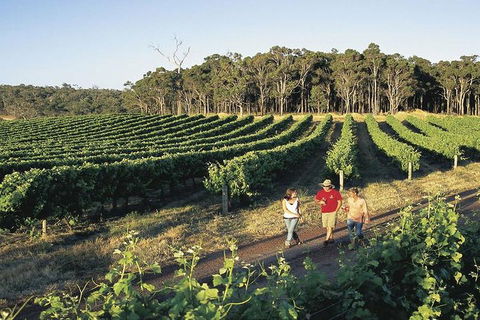 2-Day Margaret River Wine Experience From Perth - Tweed Heads Accommodation 3