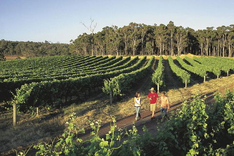 Margaret River, Caves, Wine And Cape Leeuwin Lighthouse Tour From Perth - Tweed Heads Accommodation 1
