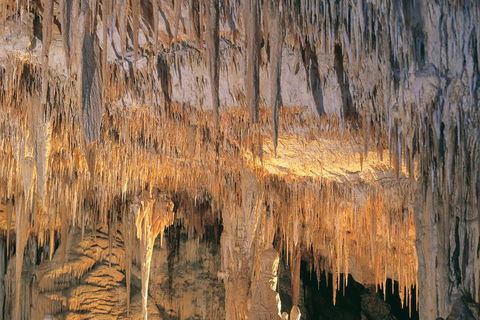 Margaret River, Caves, Wine And Cape Leeuwin Lighthouse Tour From Perth - Tweed Heads Accommodation 3