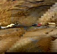 2-Day Wave Rock York Wildflowers  Aboriginal Experience - Tweed Heads Accommodation
