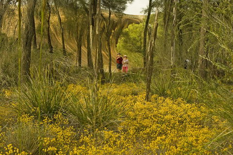 2-Day Wave Rock, York, Wildflowers & Aboriginal Experience - Tweed Heads Accommodation 2