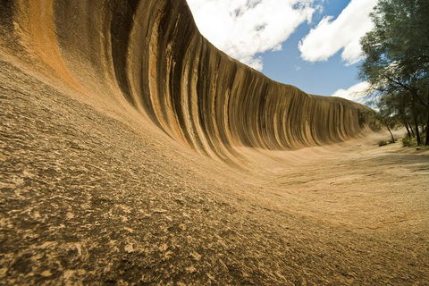 Wave Rock, York, Wildflowers, And Aboriginal Cultural Day Tour From Perth - Tweed Heads Accommodation 0
