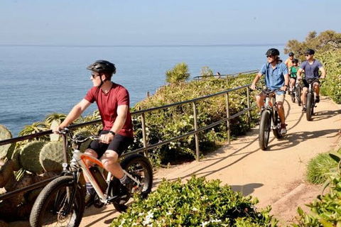 Experience E-bike At Byron Bay - Tweed Heads Accommodation 1