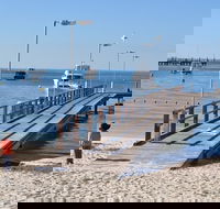 Monkey Mia Dolphins  Shark Bay Air Tour From Perth - Tweed Heads Accommodation