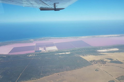 Monkey Mia Dolphins & Shark Bay Air Tour From Perth - Tweed Heads Accommodation 5