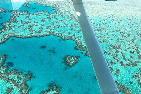 Whitsunday Islands 1-Hour Reef Scenic Helicopter Tour - Tweed Heads Accommodation 3