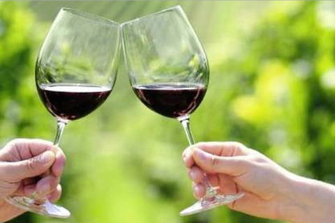 Yarra Valley Premium Tour Inc Lunch And Cheese And Wine Pairing At De Bortoli - Tweed Heads Accommodation 5
