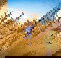 Full-Day Pinnacles Desert and Yanchep National Park Tour From Perth - Tweed Heads Accommodation