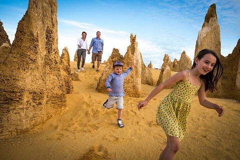 Full-Day Pinnacles Desert And Yanchep National Park Tour From Perth - Tweed Heads Accommodation 0