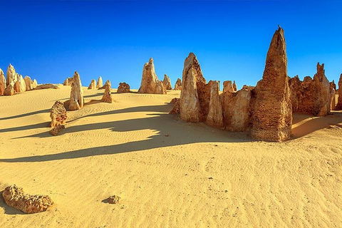Full-Day Pinnacles Desert And Yanchep National Park Tour From Perth - Tweed Heads Accommodation 2
