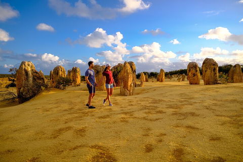 Full-Day Pinnacles Desert And Yanchep National Park Tour From Perth - Tweed Heads Accommodation 4