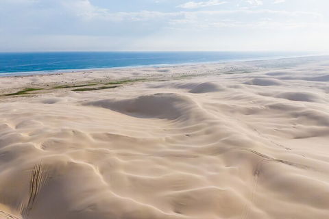 Port Stephens Bush, Beach And Sand Dune 4WD Passenger Tour - Tweed Heads Accommodation 2