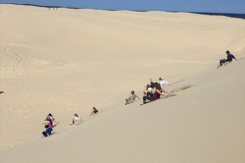 Port Stephens Bush, Beach And Sand Dune 4WD Passenger Tour - Tweed Heads Accommodation 4