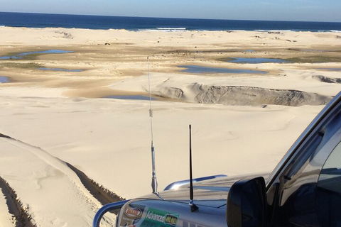 Port Stephens Bush, Beach And Sand Dune 4WD Passenger Tour - Tweed Heads Accommodation 5