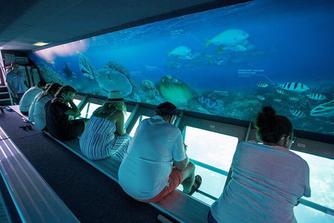 Great Barrier Reef Day Cruise To Reefworld - Tweed Heads Accommodation 0
