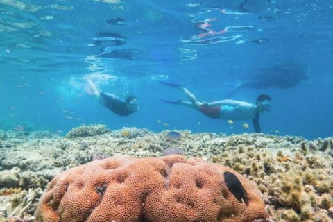 Great Barrier Reef Day Cruise To Reefworld - Tweed Heads Accommodation 1