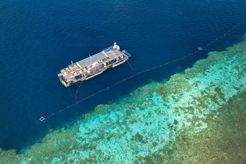 Great Barrier Reef Day Cruise To Reefworld - Tweed Heads Accommodation 2