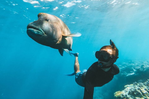 Great Barrier Reef Day Cruise To Reefworld - Tweed Heads Accommodation 3
