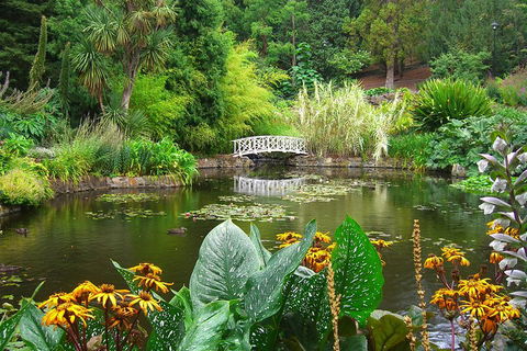 Hobart City Sightseeing Tour Including MONA Admission - Tweed Heads Accommodation 3