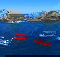 3-Hour Byron Bay Certified Scuba Diving Tour - Tweed Heads Accommodation