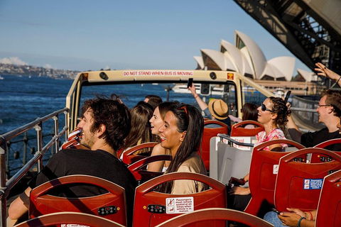 Hop-On Hop-Off Bus And PLUS 4 Merlin Attractions - Tweed Heads Accommodation 1