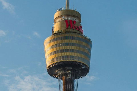 Hop-On Hop-Off Bus And PLUS 4 Merlin Attractions - Tweed Heads Accommodation 3