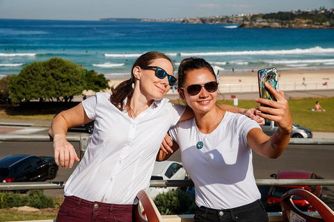 Hop-On Hop-Off Bus And PLUS 4 Merlin Attractions - Tweed Heads Accommodation 4