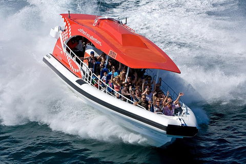 Adventure Rottnest Tour With Ferry & Adventure Cruise From Perth Or Fremantle - Tweed Heads Accommodation 2