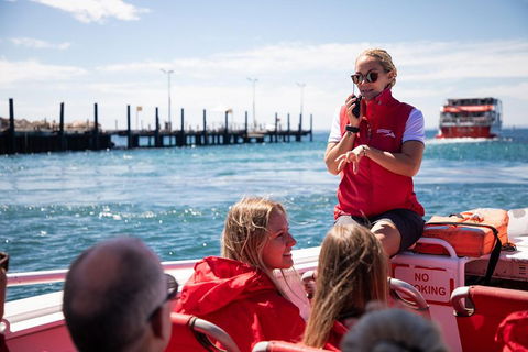 Adventure Rottnest Tour With Ferry & Adventure Cruise From Perth Or Fremantle - Tweed Heads Accommodation 4