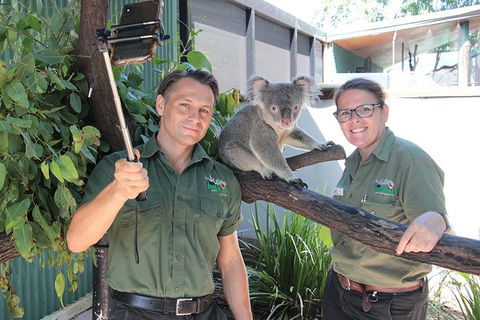 Virtual Interactive Australian Wildlife Tour With Private Guide-Wildlife Habitat - Tweed Heads Accommodation 0