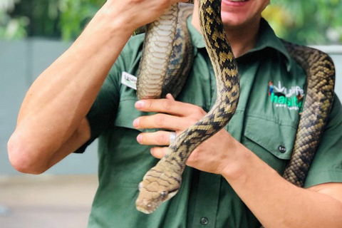 Virtual Interactive Australian Wildlife Tour With Private Guide-Wildlife Habitat - Tweed Heads Accommodation 1