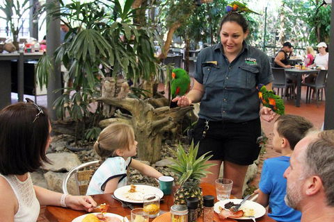 Wildlife Habitat Port Douglas - Tweed Heads Accommodation 2