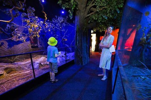 Wildlife Habitat Port Douglas - Tweed Heads Accommodation 4